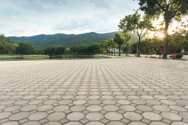 Best Local Driveway Pavers  in Algood, TN